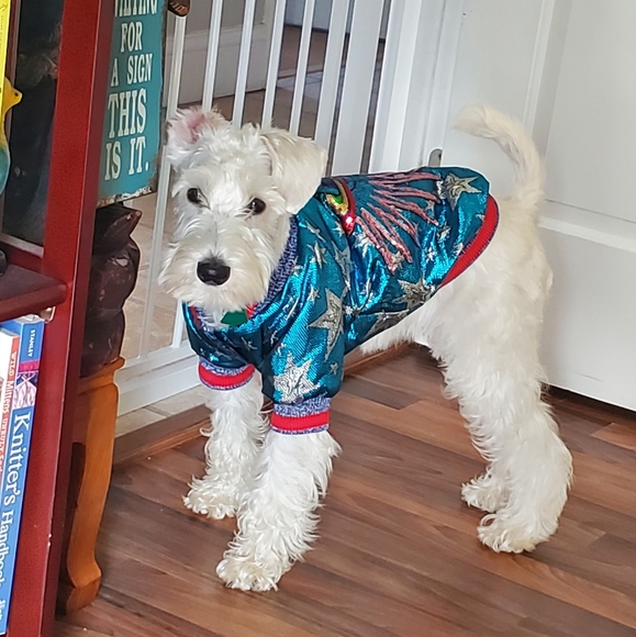 Meet your Posher, Kelly - Picture 4 of 7